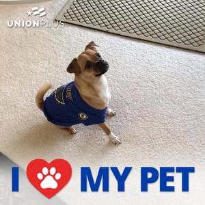 Meet your Posher, Sharon